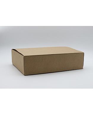 BOITE AVANA 300X240X80