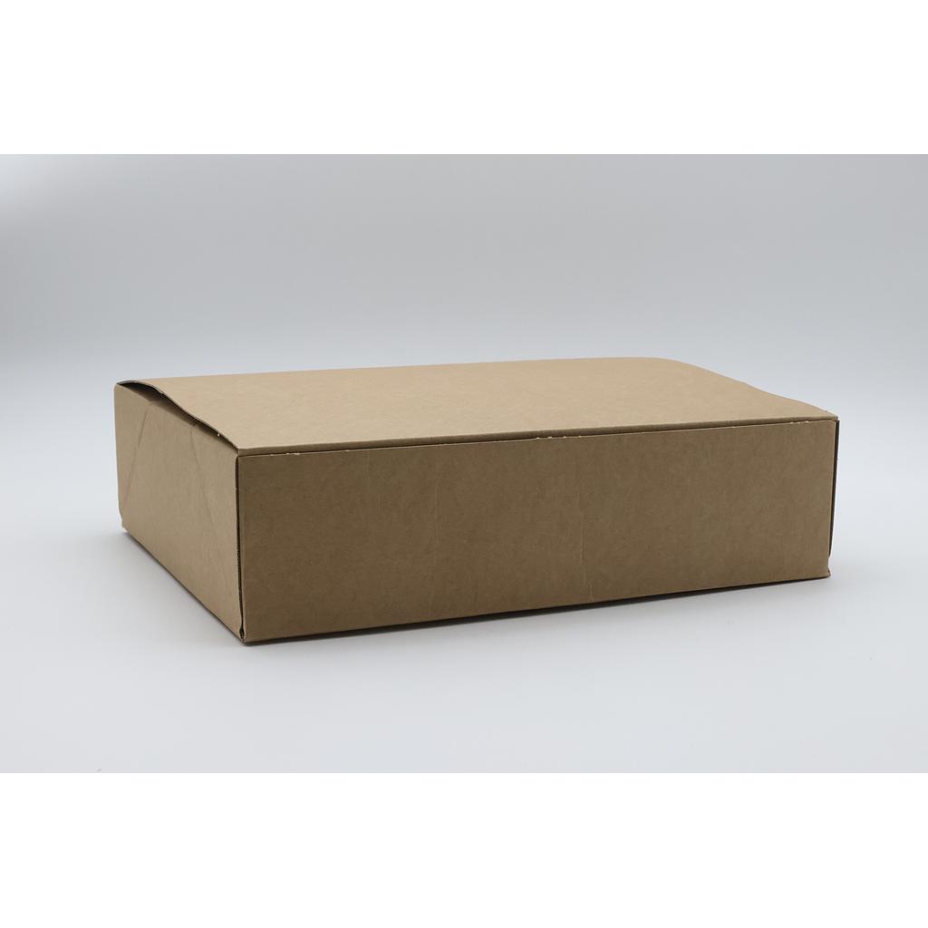 BOITE AVANA 300X240X80