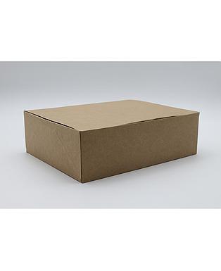 BOITE AVANA 250X200X80