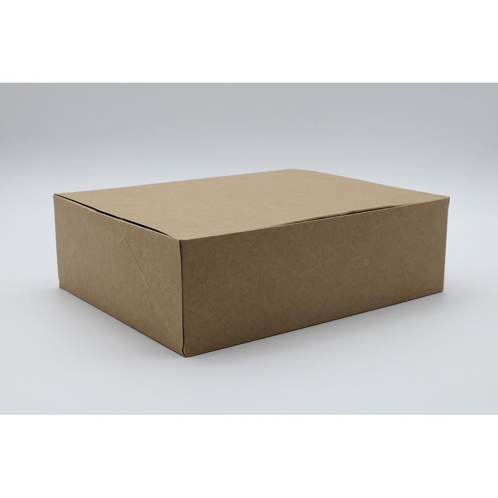 BOITE AVANA 250X200X80