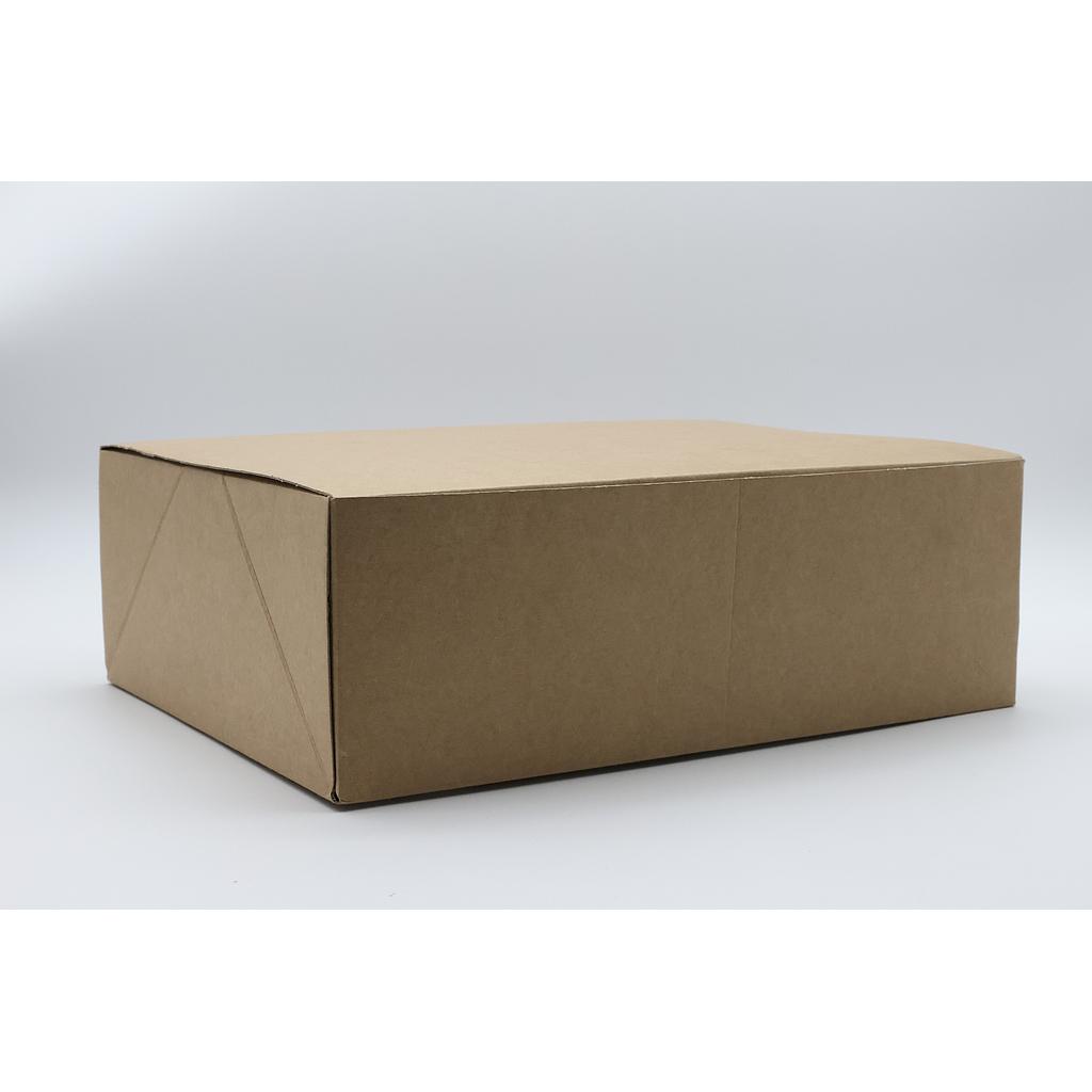BOITE AVANA 400x320x120
