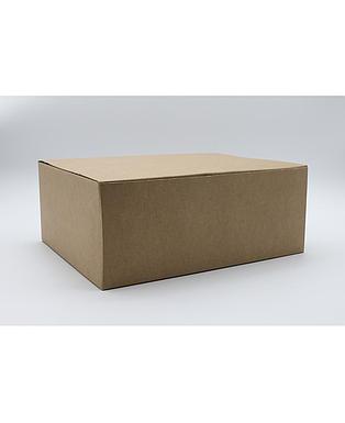 BOITE AVANA 300X240X120