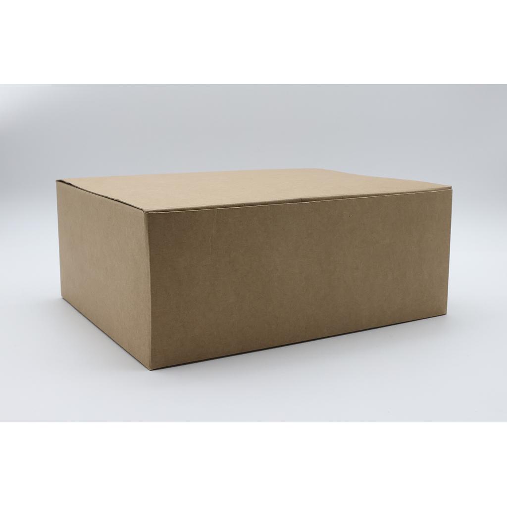 BOITE AVANA 300X240X120