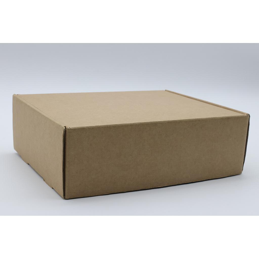 Caja Fast Kraft 255x200x80