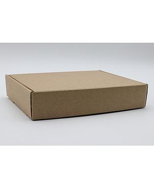 Caja Fast Kraft 255x200x50