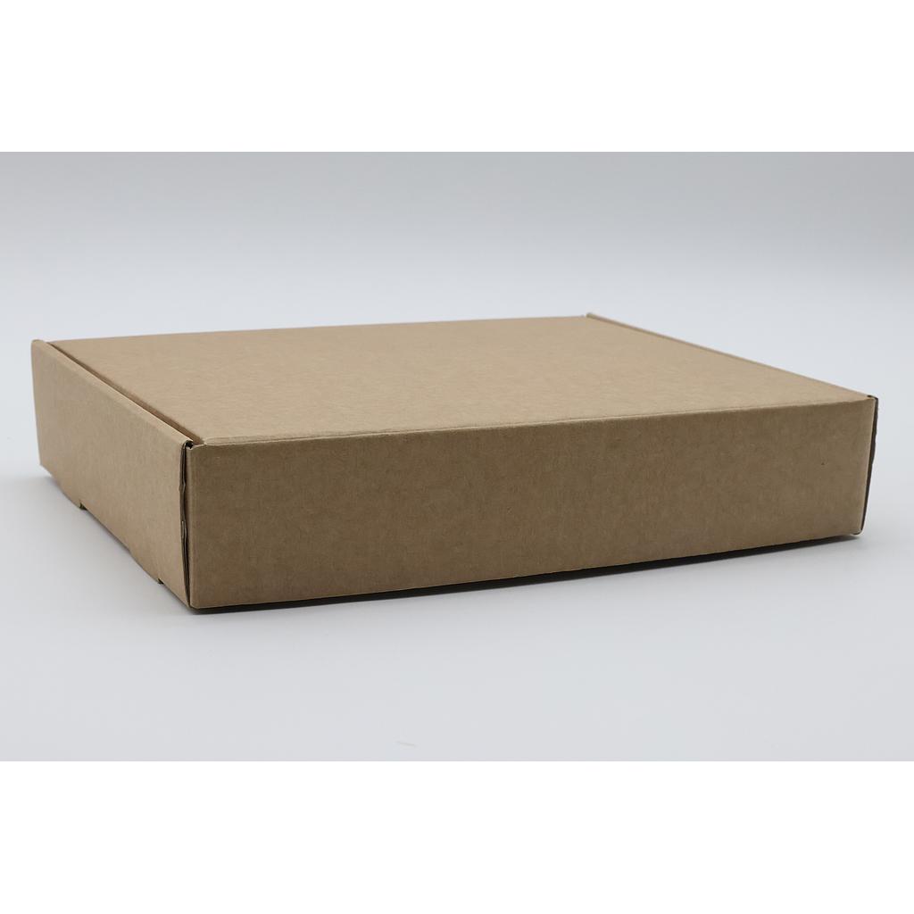 Caja Fast Kraft 255x200x50