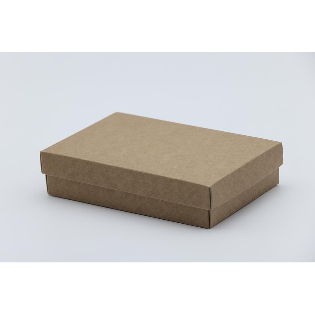 CAJAS AVANA F/C-DP 165X110X40