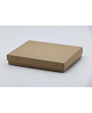 CAJAS AVANA F/C-DP 220X160X40