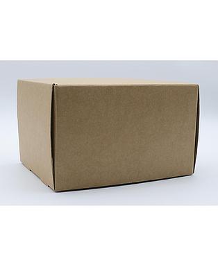 Caja Fast Kraft 255x200x155