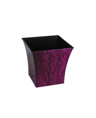 TARRO MORADO